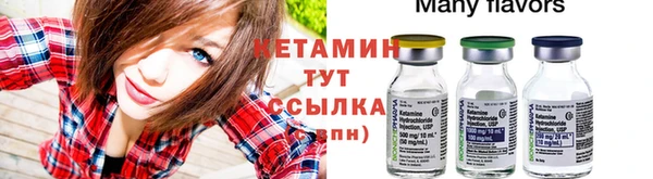 трава Няндома