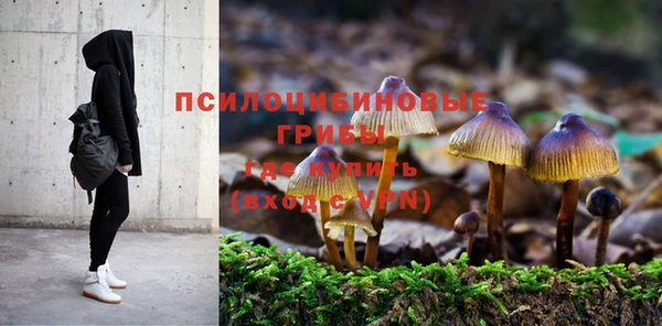 СК Алзамай